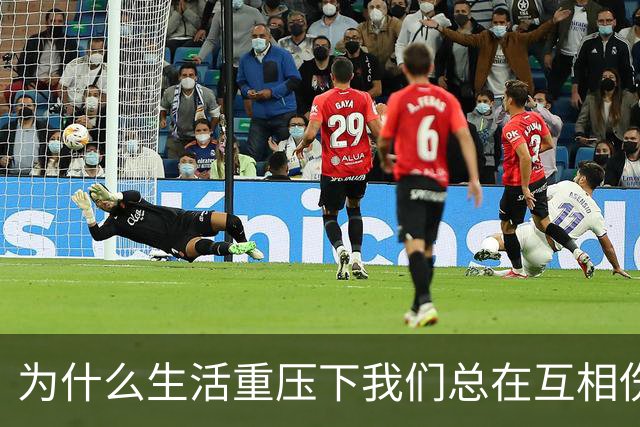 为什么生活重压下我们总在互相伤害？