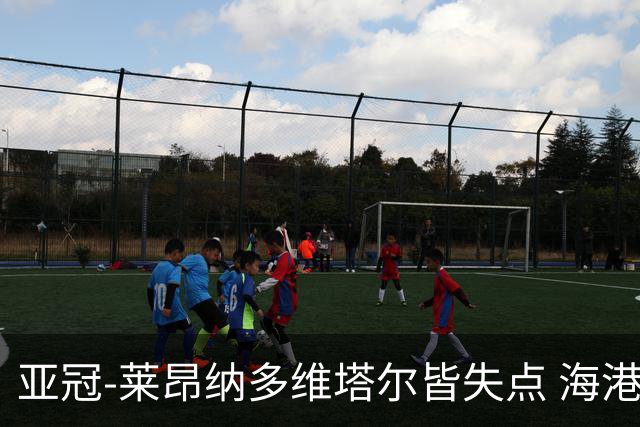 亚冠-莱昂纳多维塔尔皆失点 海港爆冷2-3河内公安遭首败