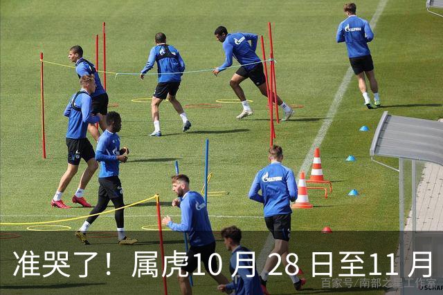 准哭了！属虎10 月 28 日至11 月 3 日，有大事要发生