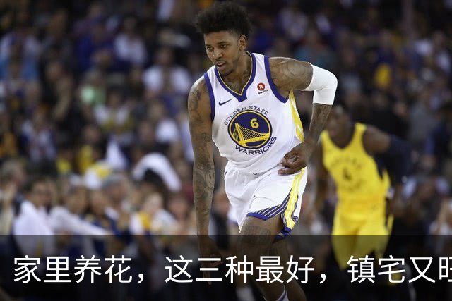 家里养花，这三种最好，镇宅又旺财，家家户户都能养