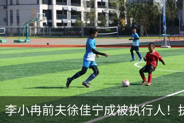 李小冉前夫徐佳宁成被执行人！执行标的超两千万，曾被曝去年离婚