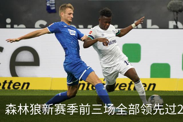 森林狼新赛季前三场全部领先过20+ 对手分别是热火、魔术和猛龙