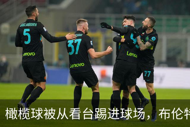 橄榄球被从看台踢进球场，布伦特福德报警称行为危险