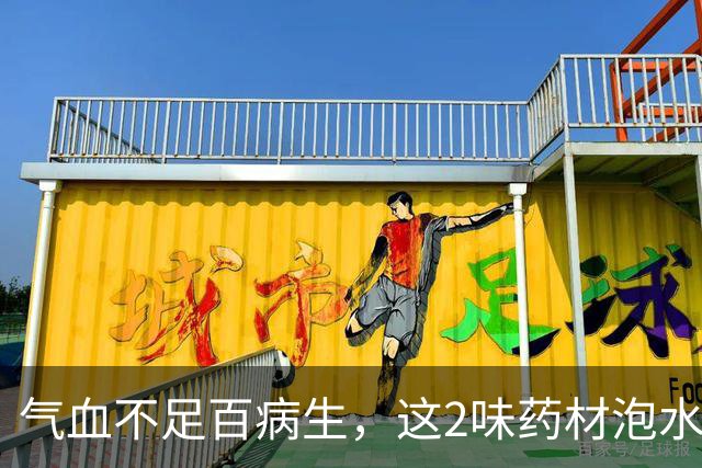 气血不足百病生，这2味药材泡水当茶喝，补气又补血