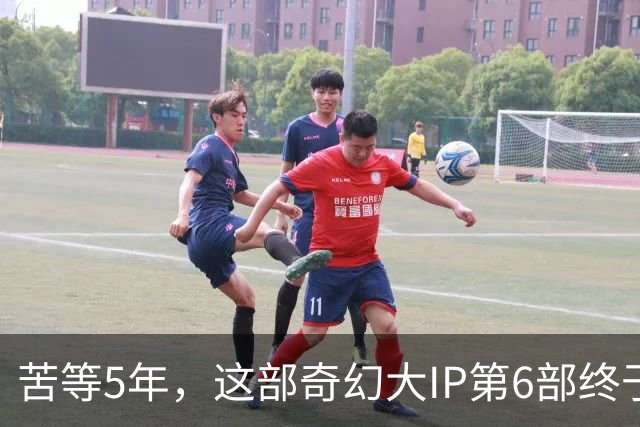 苦等5年，这部奇幻大IP第6部终于定档10月27日