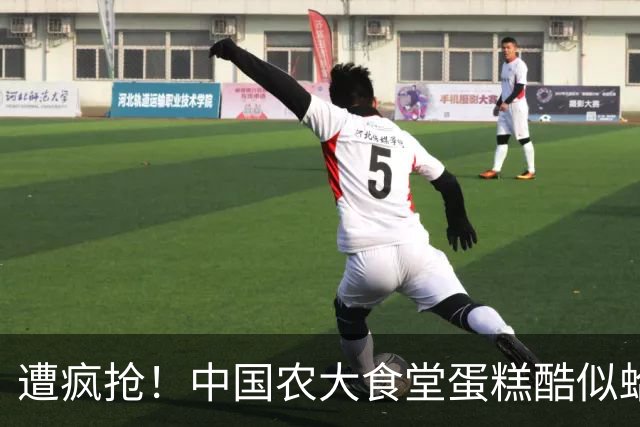 遭疯抢！中国农大食堂蛋糕酷似蛤蟆，每块9.9，学生抢着排长队