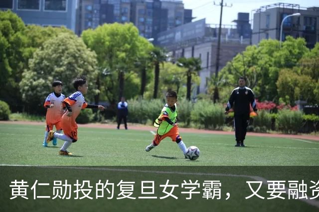 黄仁勋投的复旦女学霸，又要融资了！估值冲刺2688亿
