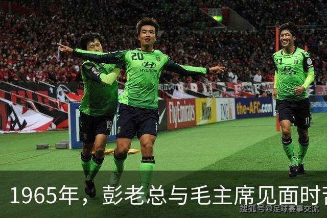 1965年，彭老总与毛主席见面时苦涩说道：我无事不登三宝殿！