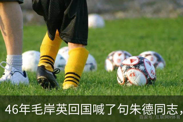 46年毛岸英回国喊了句朱德同志，毛主席脸色一沉：同志是你叫的？