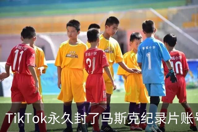 TikTok永久封了马斯克纪录片账号，宣传团队正全力申诉